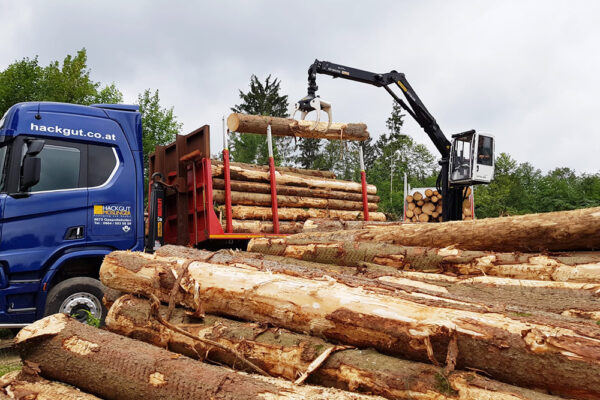 Hackgut Möslinger aus OÖ_Scania Rungen mit Kran