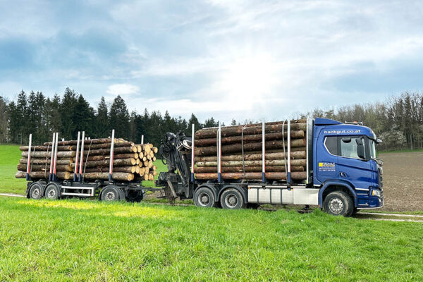 Hackgut Möslinger aus OÖ_Scania Rungen mit Kran