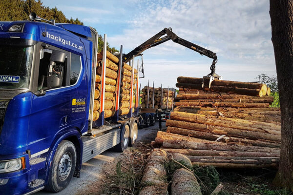 Hackgut Möslinger aus OÖ_Scania Rungen mit Kran